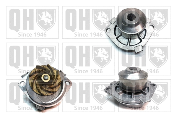 Water Pump, engine cooling (QCP3364)