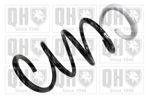 Suspension Spring (QCS8387)
