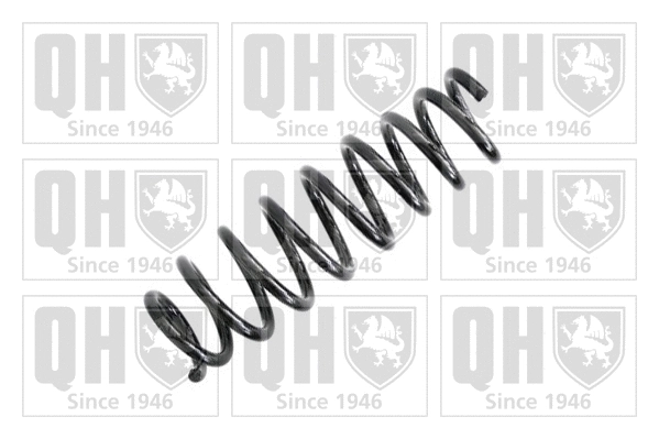 Suspension Spring (QCS7156)