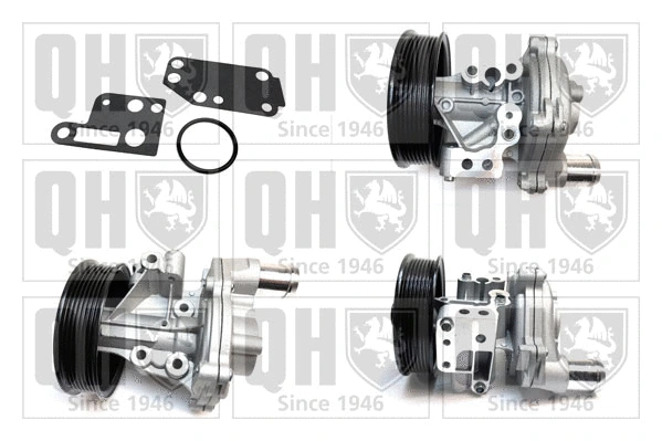 Water Pump, engine cooling (QCP3549)