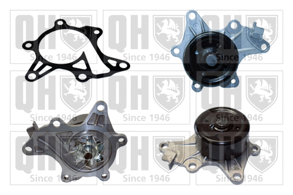 Water Pump, engine cooling (QCP3755)