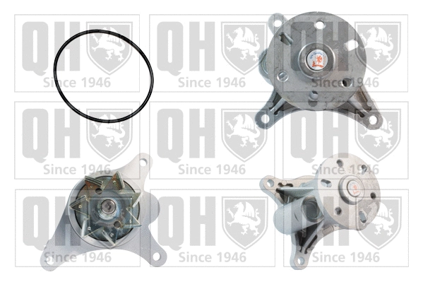 Water Pump, engine cooling (QCP3666)