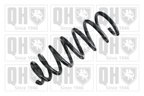 Suspension Spring (QCS8492)