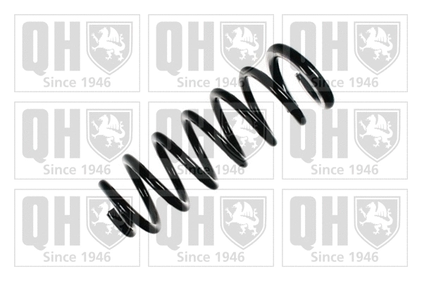 Suspension Spring (QCS8241)