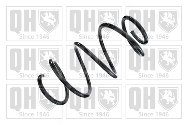 Suspension Spring (QCS8453)