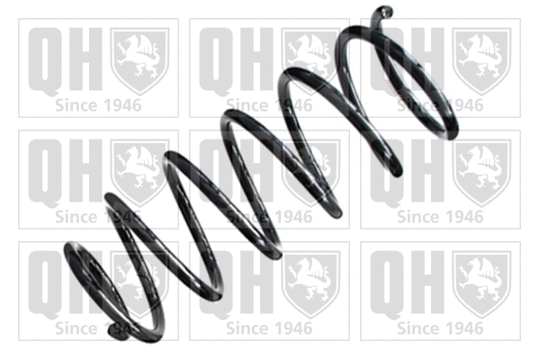 Suspension Spring (QCS6456)