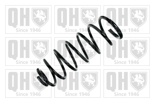 Suspension Spring (QCS5488)