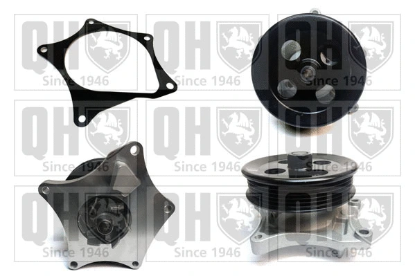 Water Pump, engine cooling (QCP3932)
