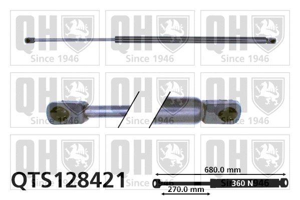 Gas Spring, boot/cargo area (QTS128421)