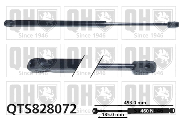Gas Spring, boot/cargo area (QTS828072)