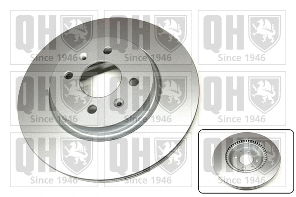 Brake Disc (BDC6103)