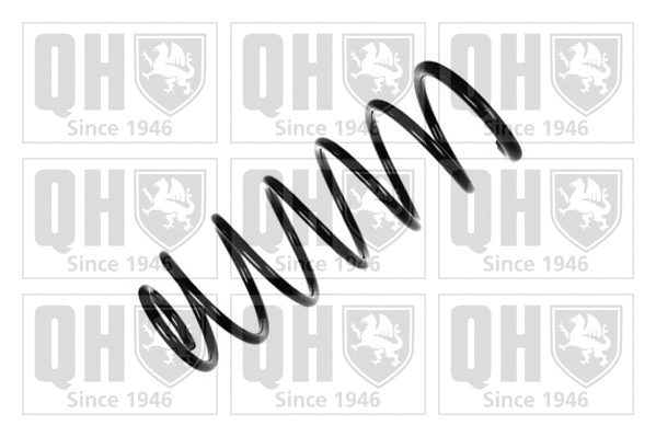 Suspension Spring (QCS6773)