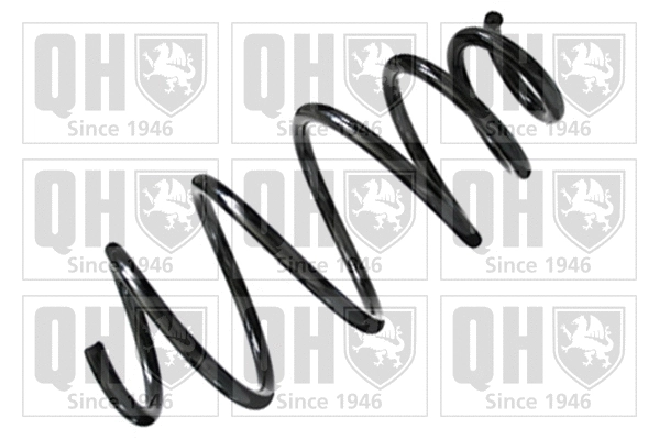 Suspension Spring (QCS6393)