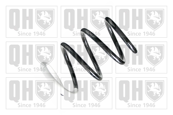 Suspension Spring (QCS8382)