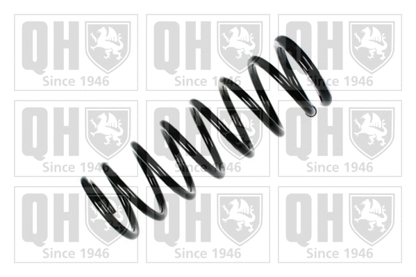 Suspension Spring (QCS5087)