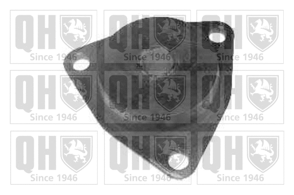 Mounting, control/trailing arm (EMS1514)