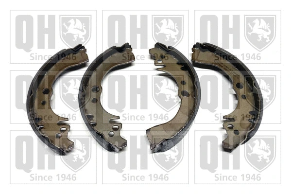 Brake Shoe Set (BS805)