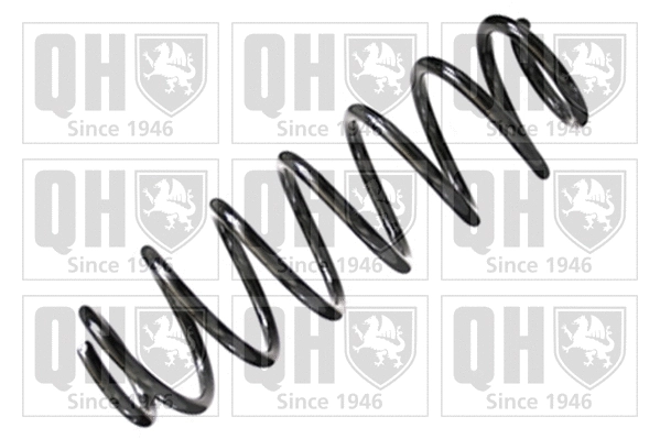 Suspension Spring (QCS7119)