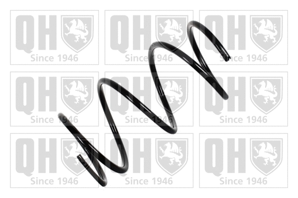 Suspension Spring (QCS6266)