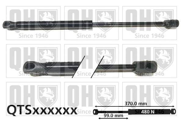 Gas Spring, boot/cargo area (QTS828337)