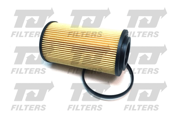 Oil Filter (QFL0316)