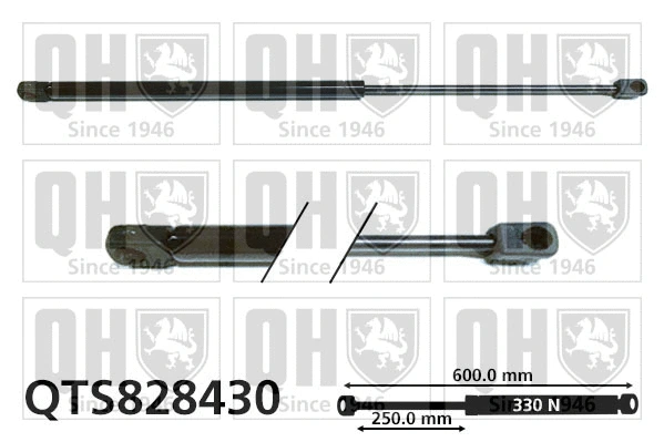 Gas Spring, boot/cargo area (QTS828430)
