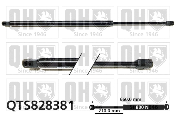 Gas Spring, boot/cargo area (QTS828381)