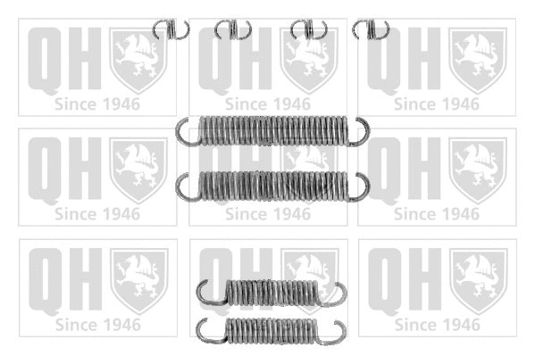 Accessory Kit, brake shoes (BFK229)