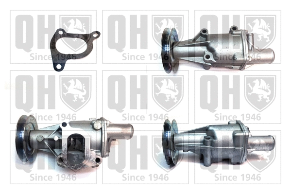 Water Pump, engine cooling (QCP3318)