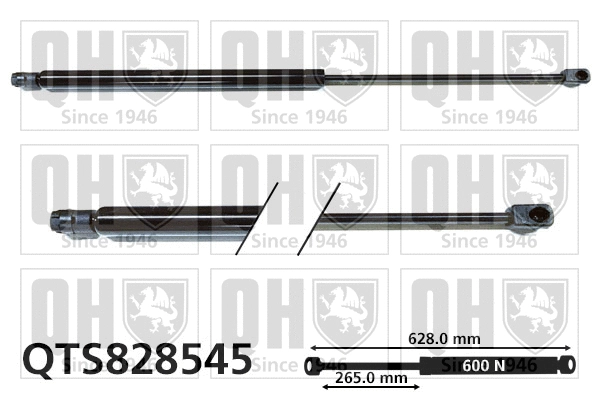 Gas Spring, boot/cargo area (QTS828545)