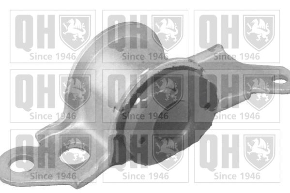 Mounting, control/trailing arm (EMS8064)