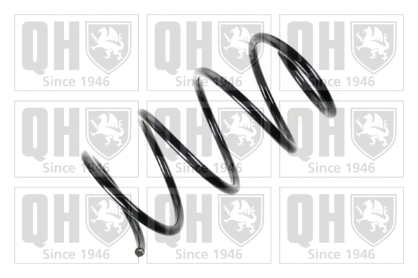 Suspension Spring (QCS7052)