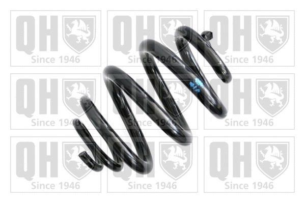 Suspension Spring (QCS8131)