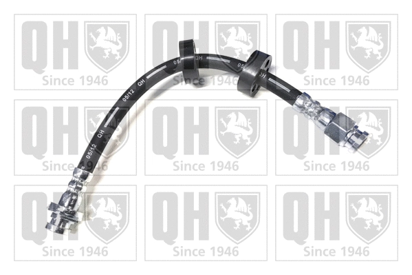 Brake Hose (BFH4831)