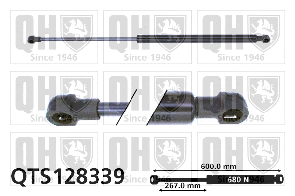 Gas Spring, boot/cargo area (QTS128339)