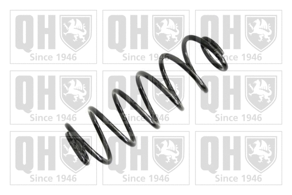 Suspension Spring (QCS6620)