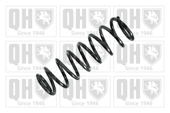 Suspension Spring (QCS6407)