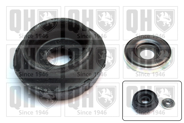 Repair Kit, suspension strut support mount (EMA5055)