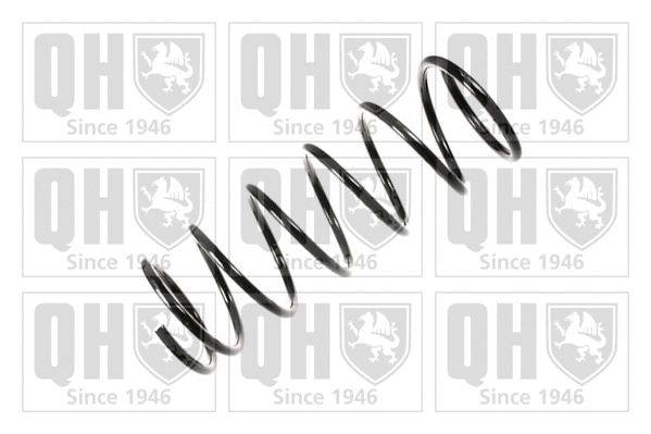 Suspension Spring (QCS6142)