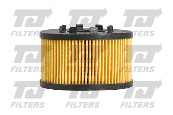 Oil Filter (QFL0272)