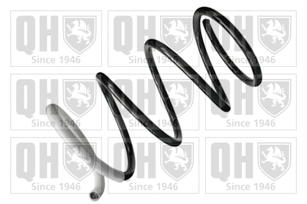 Suspension Spring (QCS5731)