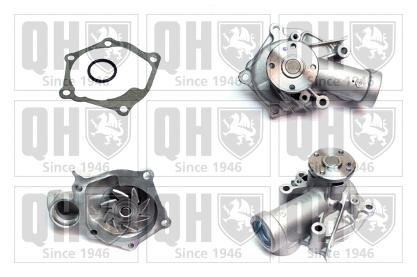 Water Pump, engine cooling (QCP3616)