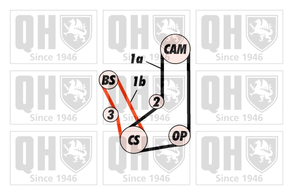 Timing Belt Kit (QBK416)