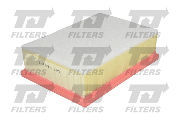 Air Filter (QFA0216)