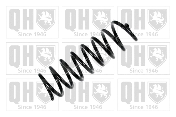Suspension Spring (QCS6371)