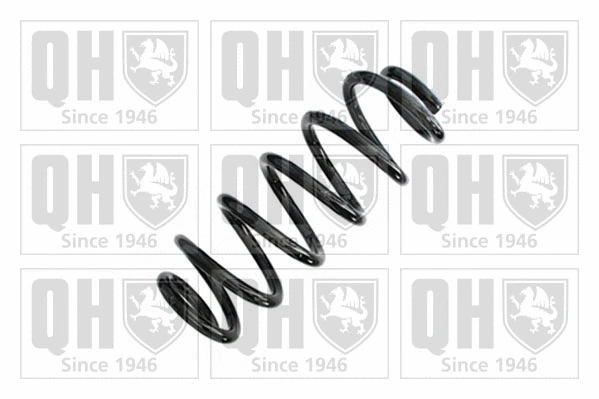 Suspension Spring (QCS8983)