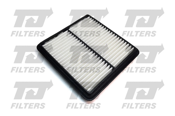 Air Filter (QFA0162)