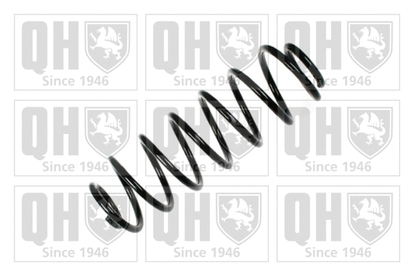 Suspension Spring (QCS6380)