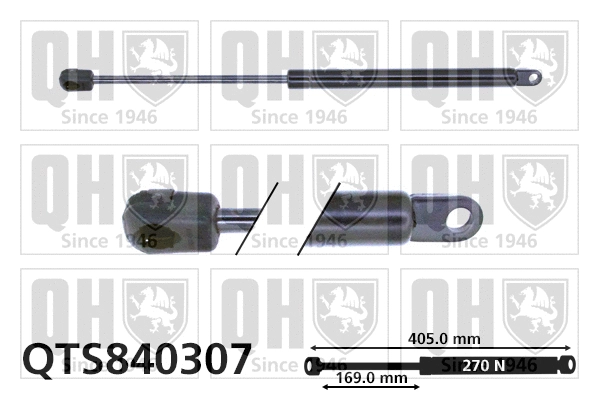 Gas Spring, bonnet (QTS840307)
