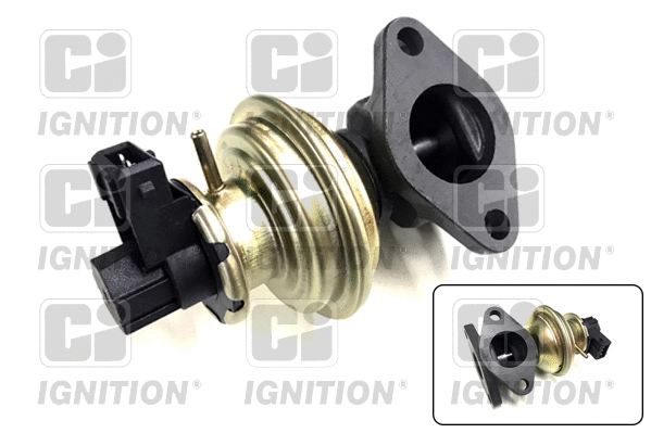EGR Valve (XEGR244)